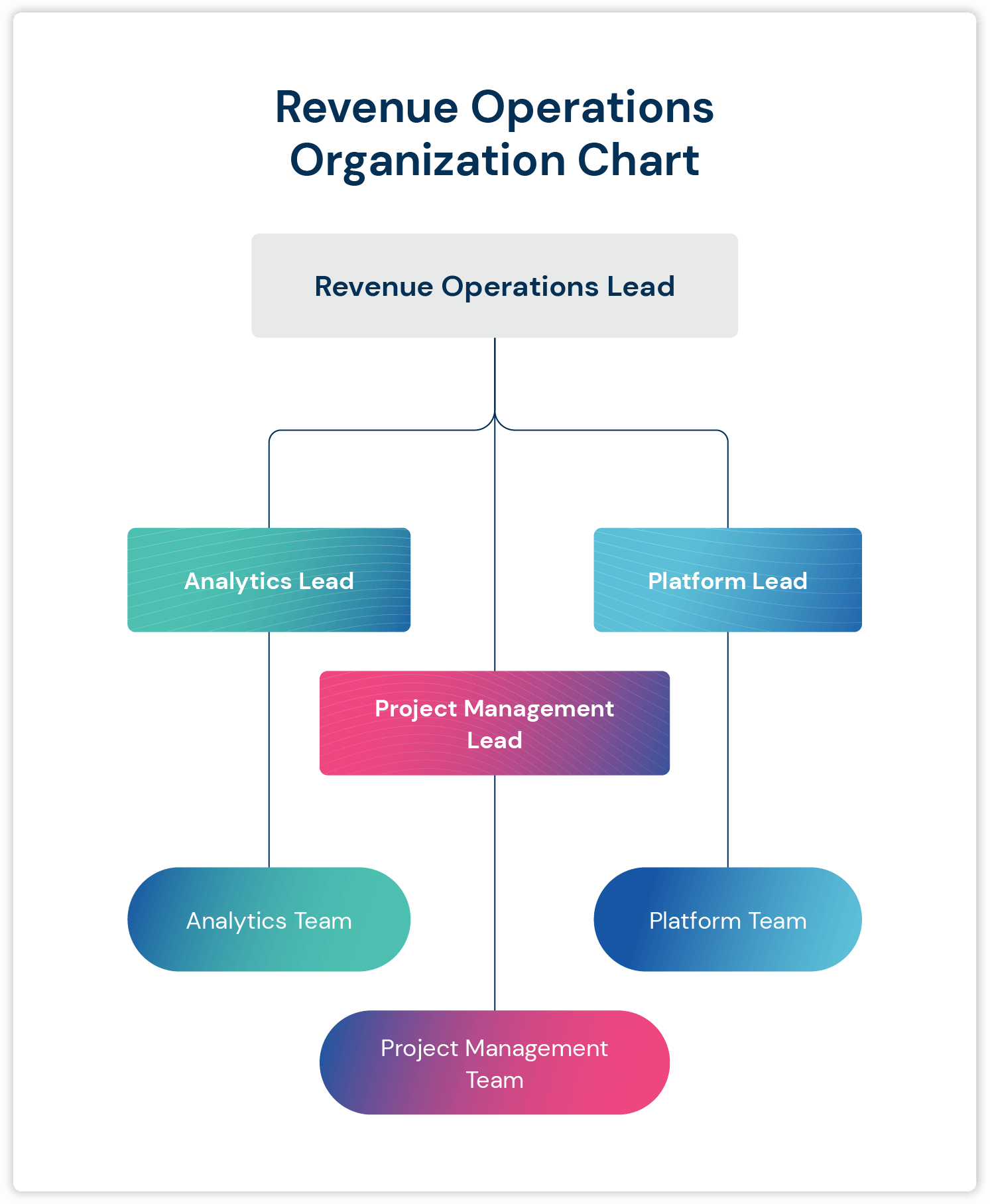 revenue operations organization chart