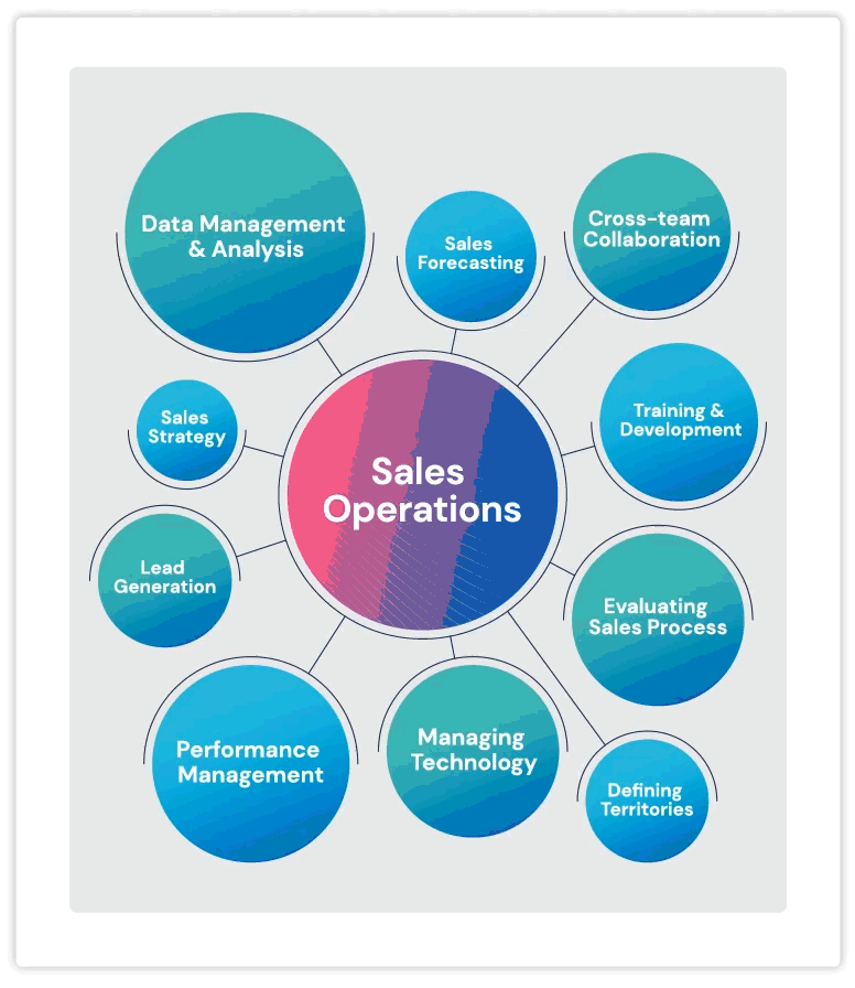 Sales Operations Team
