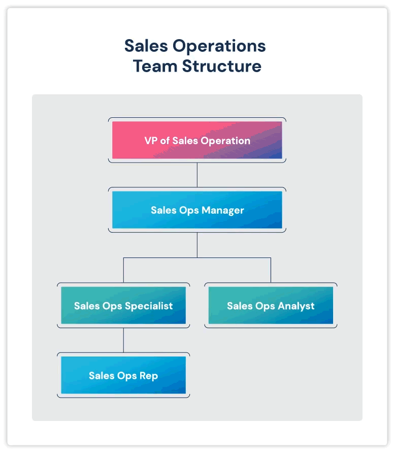sales operations team structure